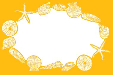 Seashells clipart