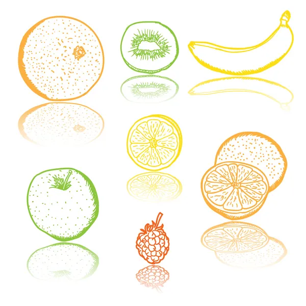 Färgstarka frukt — Stock vektor