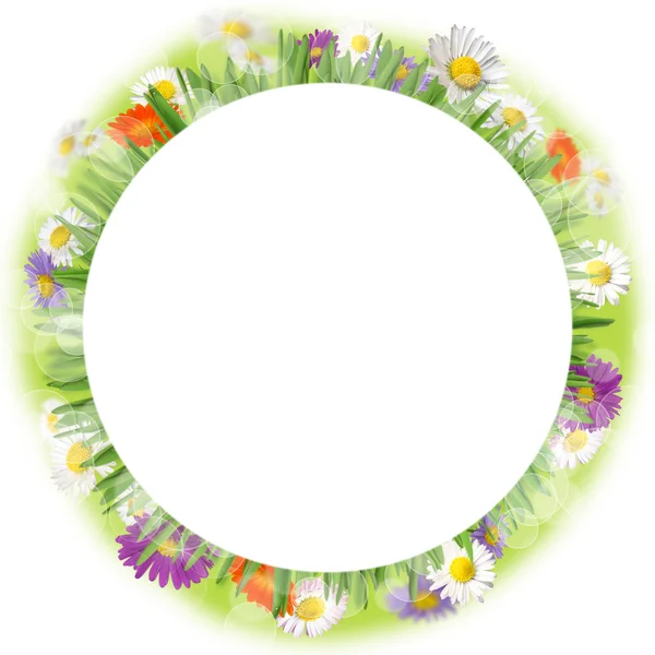 Spring frame — Stock Photo, Image