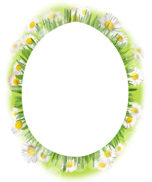 Spring frame — Stock Photo, Image