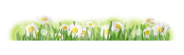 Spring background — Stock Photo, Image