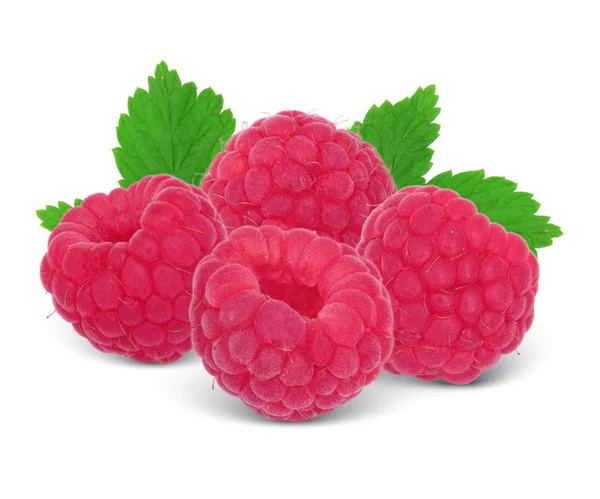 stock image Raspberries