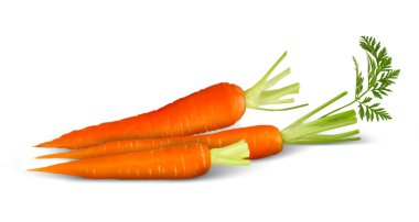 Carrot clipart