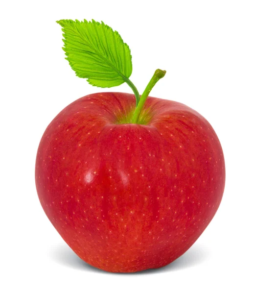 Apple frukt — Stockfoto