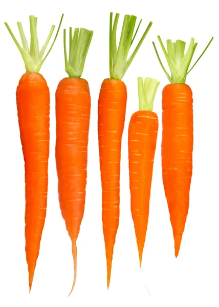 stock image Carrot