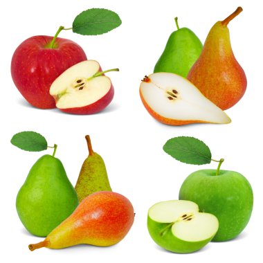 Apple and pear clipart