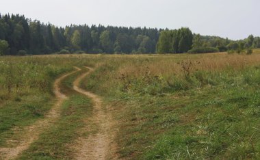 yatay yaz yeşil çimen ve yol