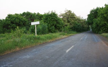 Yaz aylarında yeşil ormanda yol