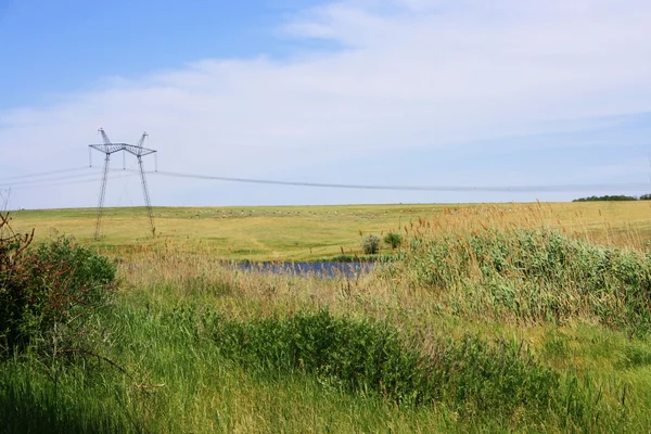 stock image Summer lake landscape