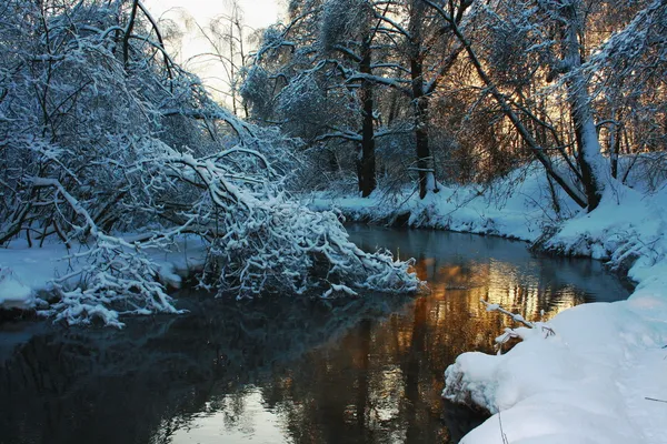 stock image The river in the winter forest