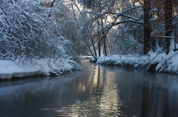 stock image The river in the winter forest