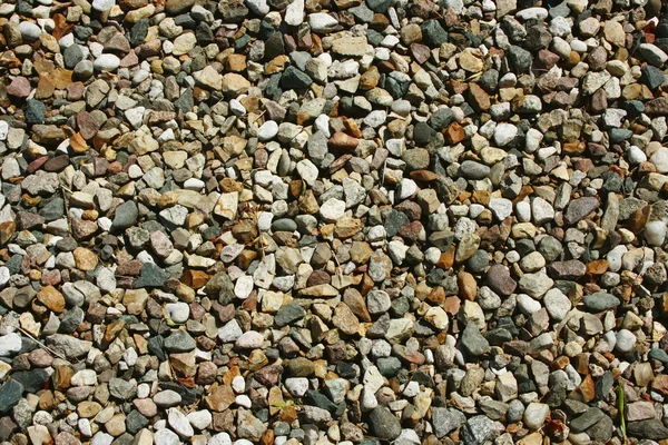 Small pebbles — Stock Photo, Image