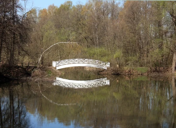 Puente sobre el estanque —  Fotos de Stock