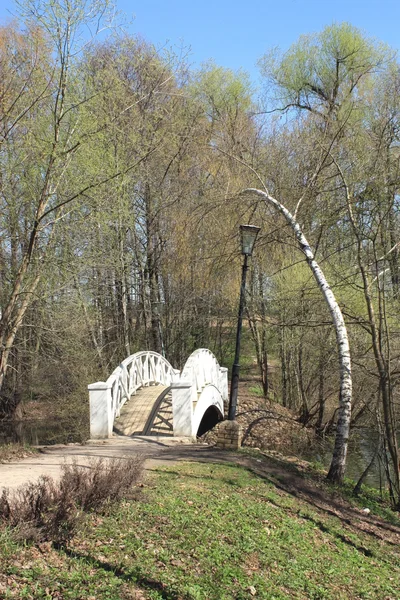 Bridge across the pond — Stock Photo, Image