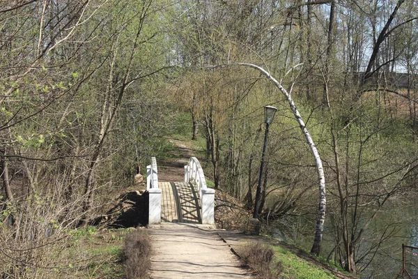 Bridge across the pond — Stock Photo, Image