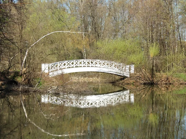 Мост через пруд — стоковое фото