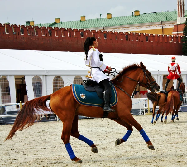 stock image Horsewoman