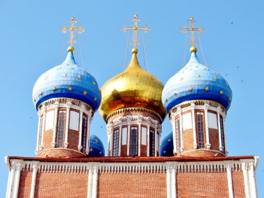 ryazan Kremlin'in altın kubbeler