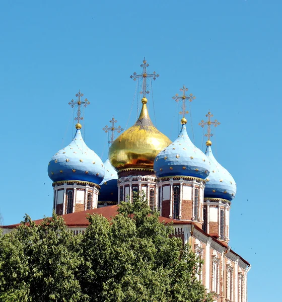 Goldene Kuppeln des Rjasan-Kreml — Stockfoto