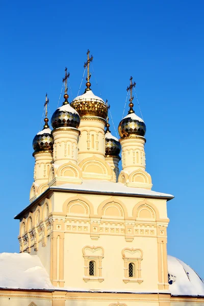 Ryazan, udsigt til Vor Frelsers Kirke på bluff - Stock-foto