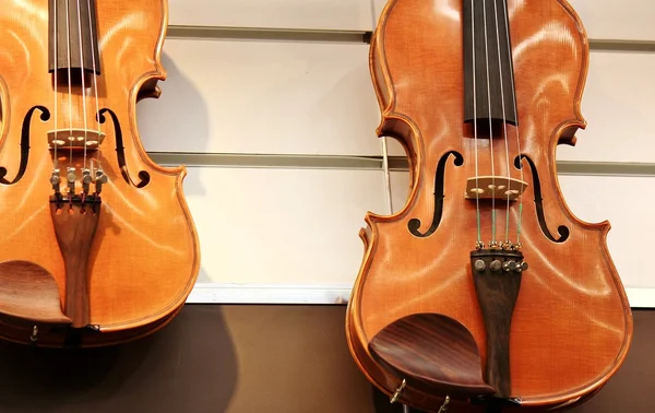 Две скрипки — стоковое фото