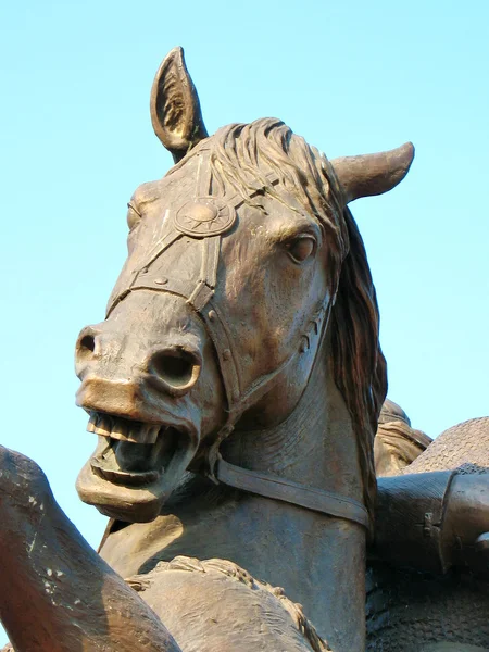 Horse's head in bronze — Stock Photo, Image