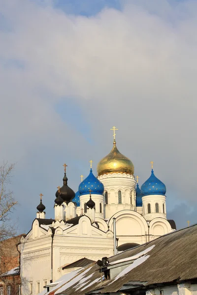 Dômes du monastère Nicholas Ugreshsky — Photo
