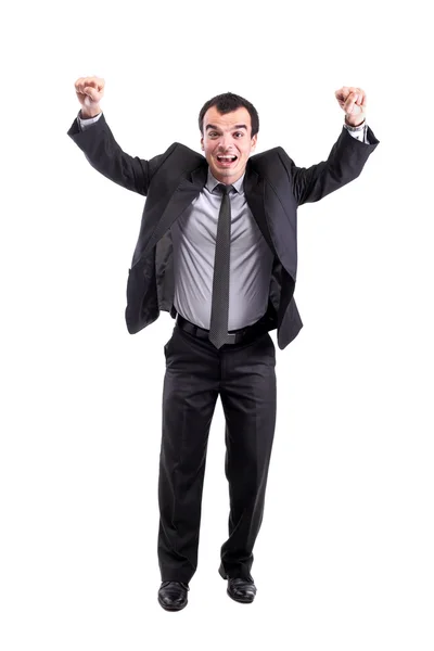 Successful businessman — Stock Photo, Image