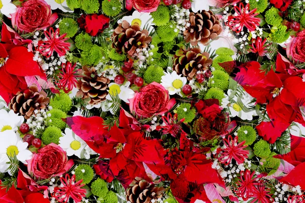 Růže a borové šišky dekorace — Stock fotografie