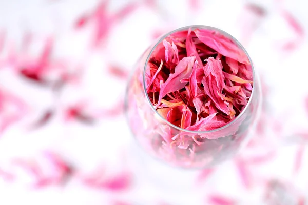 와인 잔에 장미 꽃잎 — 스톡 사진