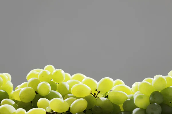 新鲜的绿色葡萄 — 图库照片