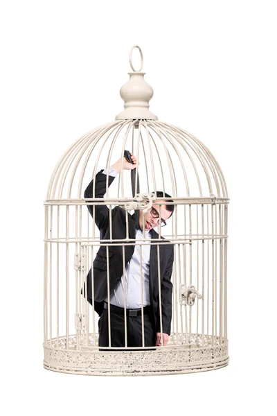 Geschäftsmann im Käfig — Stockfoto