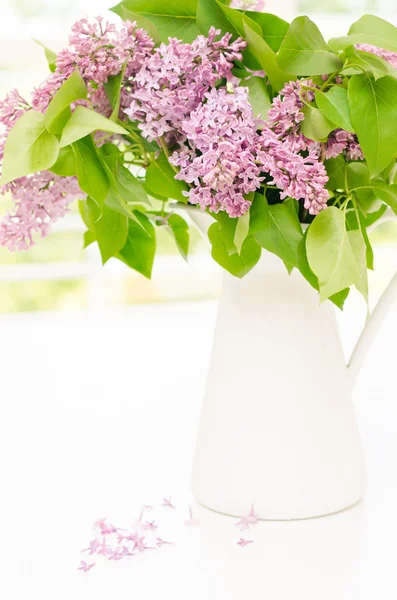 Lilac flower — Stock Photo, Image