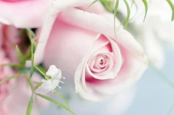 Roze rozen — Stockfoto