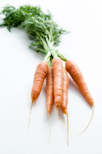 Zanahoria fresca —  Fotos de Stock