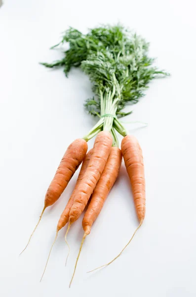 Φρέσκα καρότα — Φωτογραφία Αρχείου