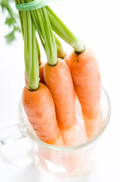 Tuore porkkana — kuvapankkivalokuva