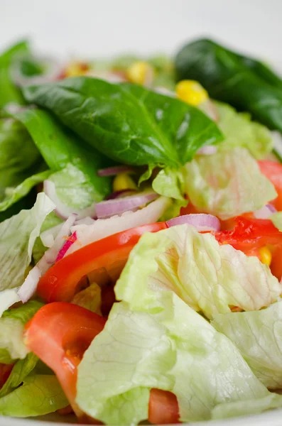 Salada — Fotografia de Stock