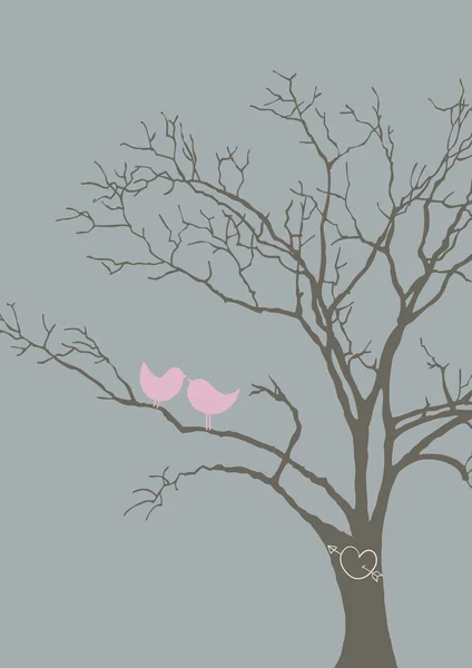 Milují ptáci na stromě — Stock fotografie