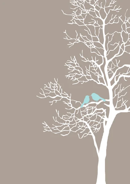Älskar fåglar på träd — Stockfoto