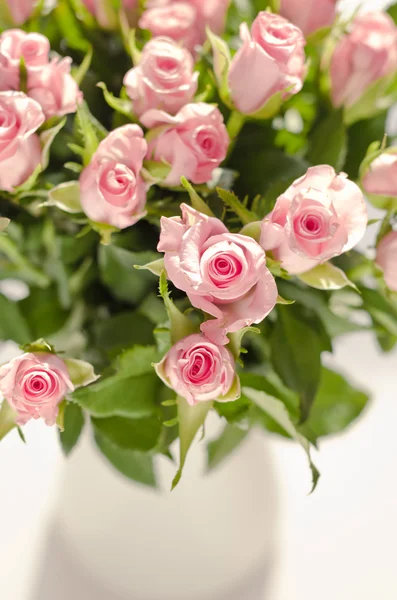 Trandafiri roz — Fotografie, imagine de stoc