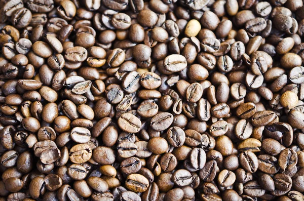 stock image Coffe beans