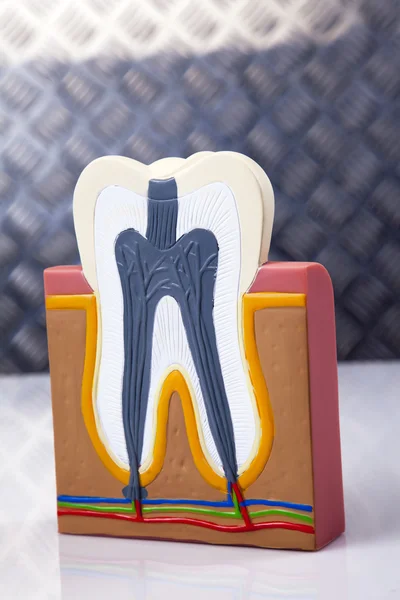 Equipos dentales, cuidado y control de dientes —  Fotos de Stock