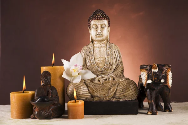 stock image Buddha, zen and relax