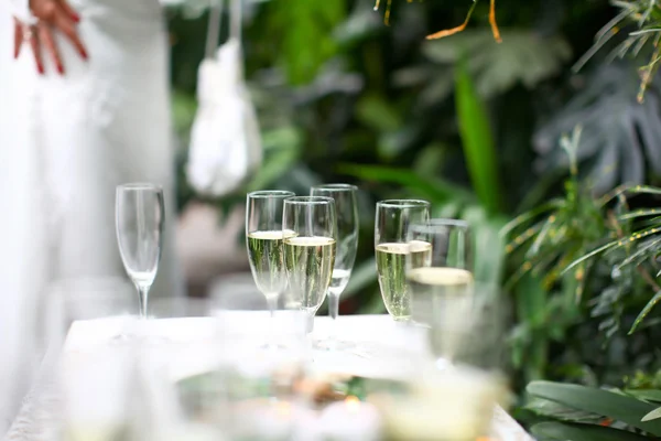 Svatební sklenice plné šampaňského — Stock fotografie