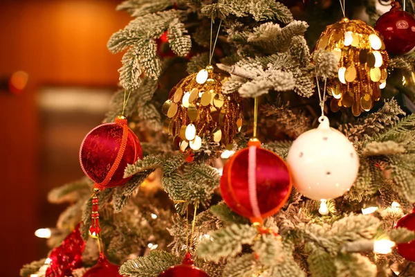Vackra julgran — Stockfoto