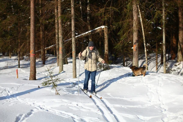 Hombre joven esquí de fondo a través del bosque — Foto de Stock