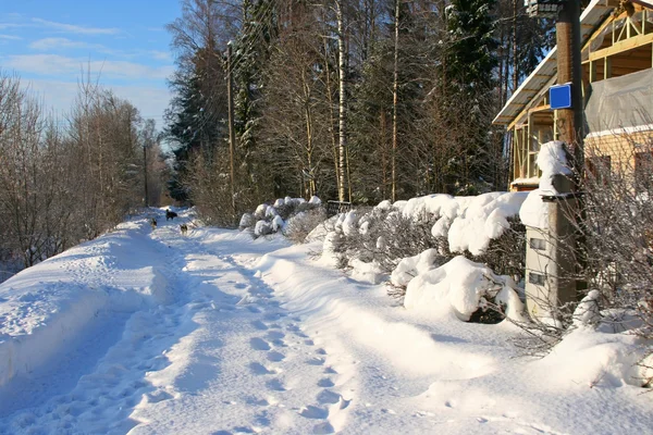 Wiejski zima droga z bankami wysokie śniegu — Zdjęcie stockowe