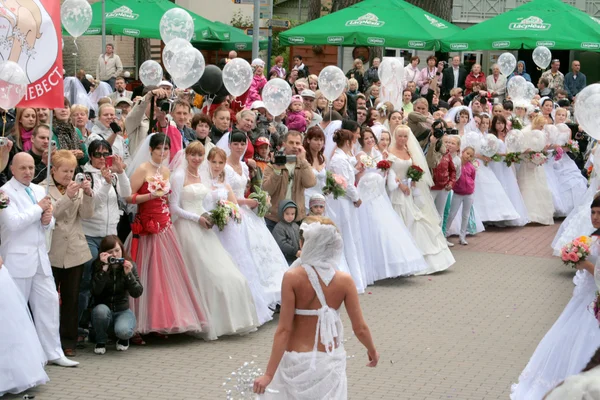 stock image Brides parade 2010