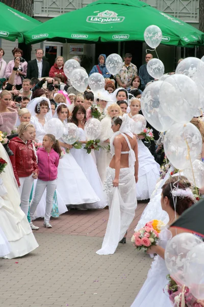 Stock image Brides parade 2010